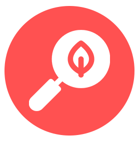 Doğa ve Keşif Etkinlikleri